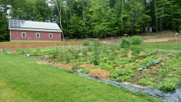 garden & barn